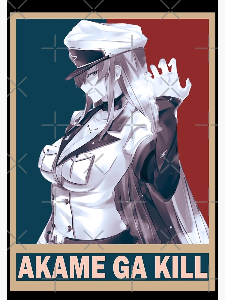 Tatsumi Akame ga Kill Akame ga Kiru Vintage Vector Anime Design Poster for  Sale by Raiden Designer Shop