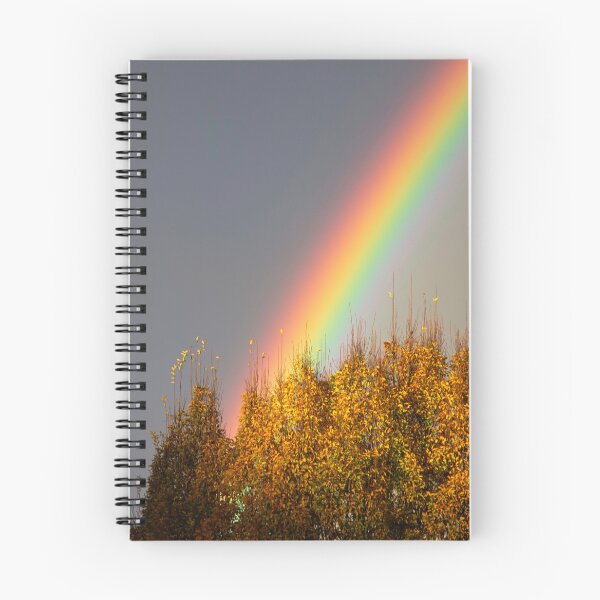Item preview, Vibrant rainbow angling into a grove of trees designed and sold by Rod Raglin.