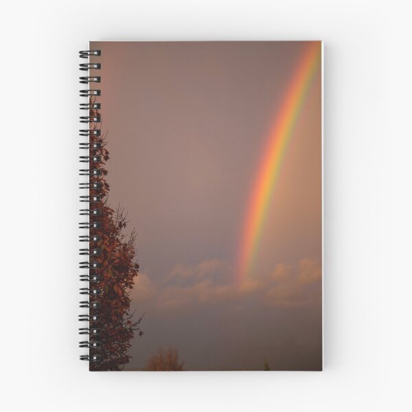 Item preview, Vibrant rainbows descends into city designed and sold by Rod Raglin.