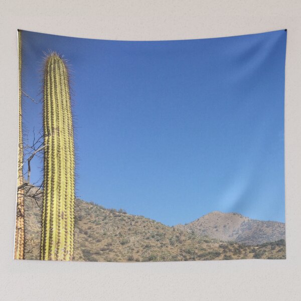 Item preview, Photograph of Chilean hills and a cactus designed and sold by Cata-mcd.