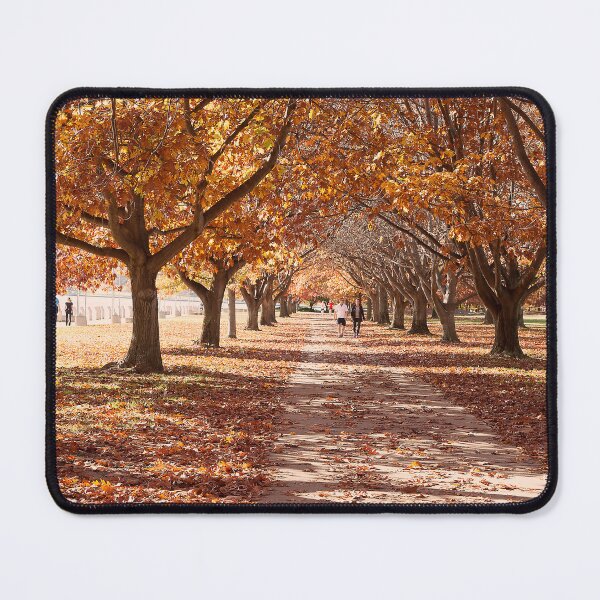 Item preview, Walking the Track Lake Burley Griffin designed and sold by Peter Edwards.