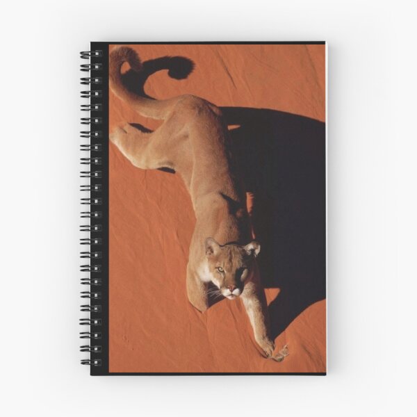 Item preview, Mountain Lion designed and sold by Maddie4Real.