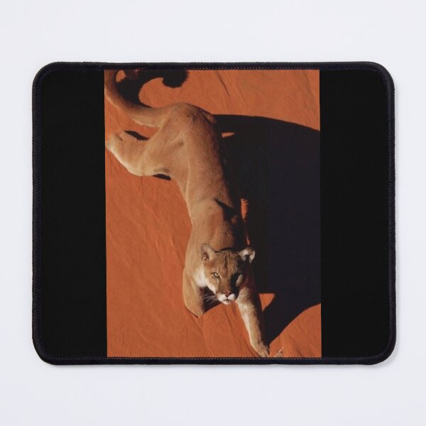Item preview, Mountain Lion designed and sold by Maddie4Real.