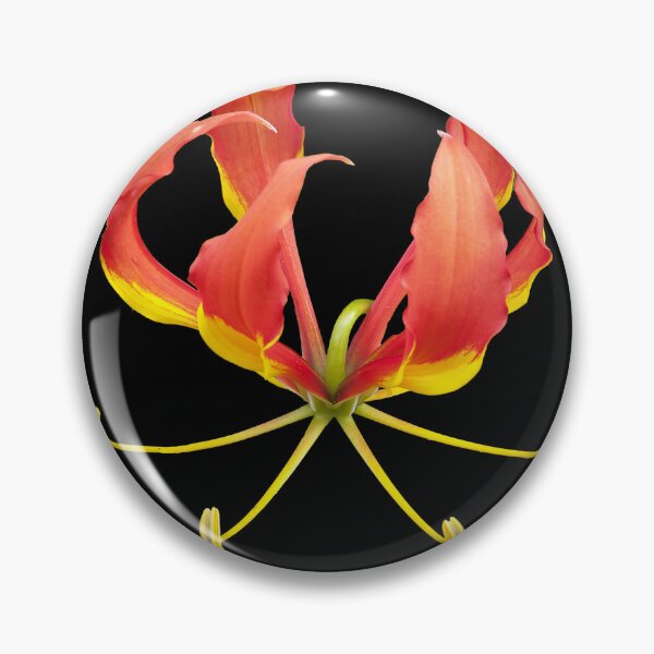 Item preview, Flame Lily designed and sold by Peter Edwards.