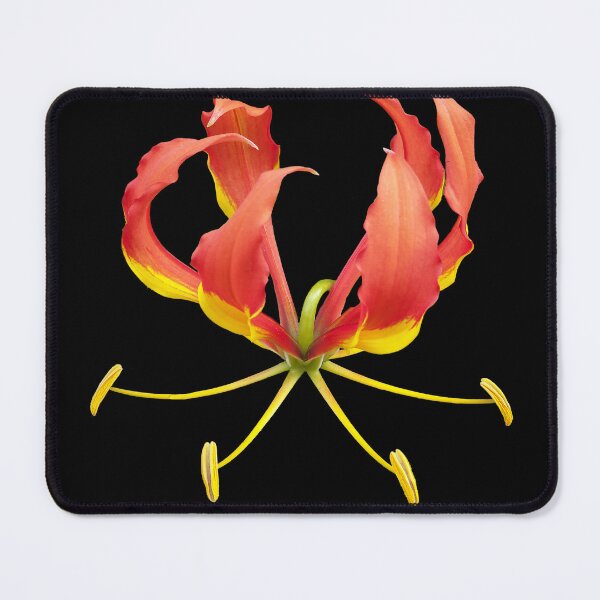 Item preview, Flame Lily designed and sold by Peter Edwards.