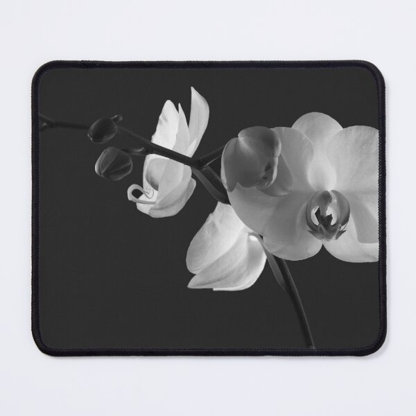 Item preview, Moth Orchid designed and sold by Peter Edwards.