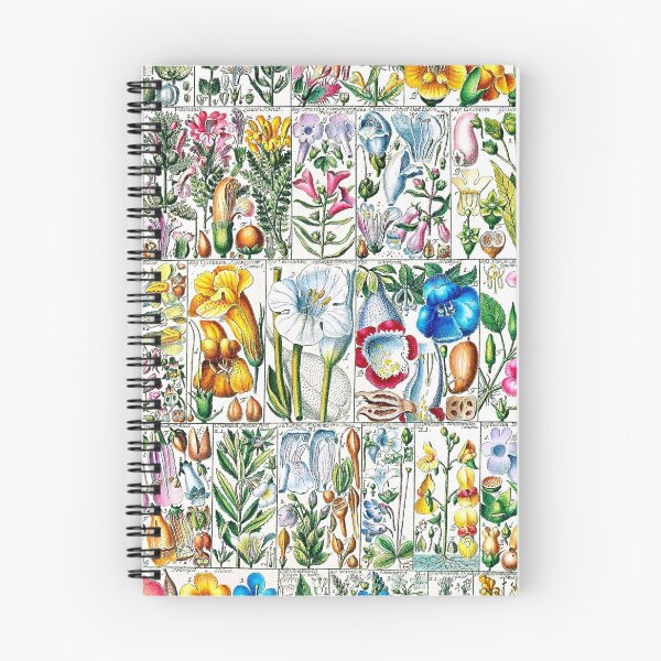 Item preview, Scientific illustration of flora - 1795-1804 - part 2 designed and sold by RPGHaven.