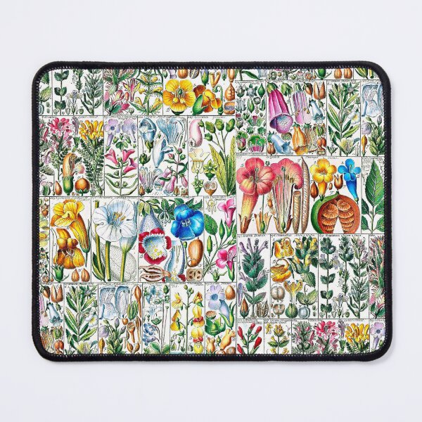 Item preview, Scientific illustration of flora - 1795-1804 - part 2 designed and sold by RPGHaven.