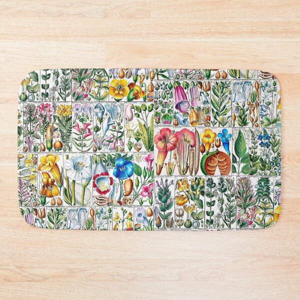 Item preview, Scientific illustration of flora - 1795-1804 - part 2 designed and sold by RPGHaven.