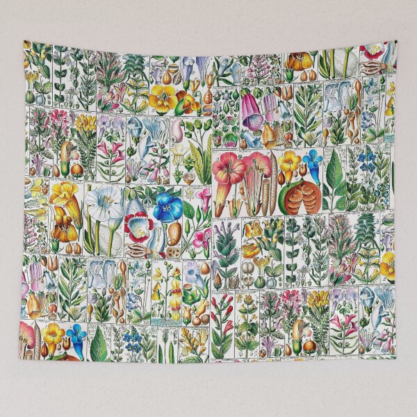 Item preview, Scientific illustration of flora - 1795-1804 - part 2 designed and sold by RPGHaven.