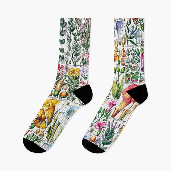 Item preview, Scientific illustration of flora - 1795-1804 - part 2 designed and sold by RPGHaven.