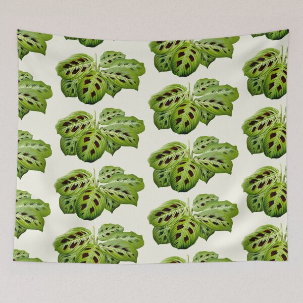 Item preview, Maranta leuconeura var. kerchoveana - Botanical illustration designed and sold by chimakingthings.