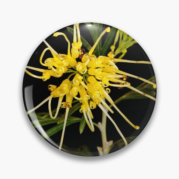 Item preview, Grevillea designed and sold by Peter Edwards.