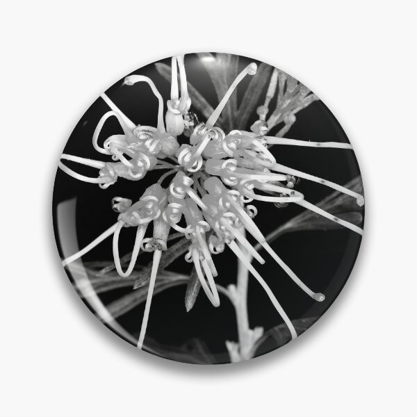 Item preview, Grevillea designed and sold by Peter Edwards.