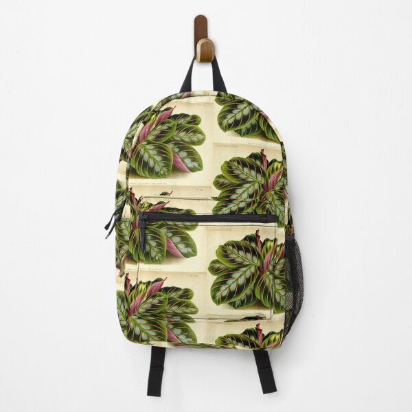 Item preview, Maranta leuconeura - Botanical illustration designed and sold by chimakingthings.