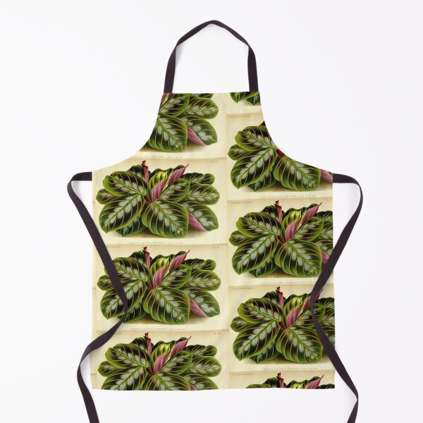 Item preview, Maranta leuconeura - Botanical illustration designed and sold by chimakingthings.
