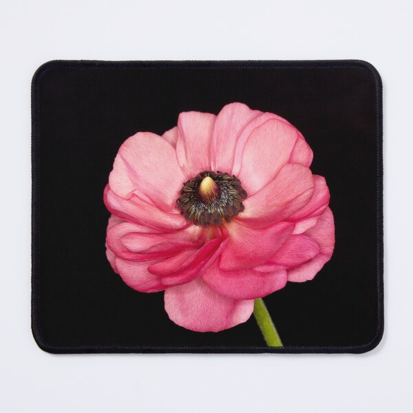 Item preview, Ranunculus designed and sold by Peter Edwards.
