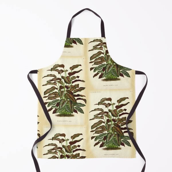 Item preview, Copy of Calathea ornata - Botanical illustration designed and sold by chimakingthings.