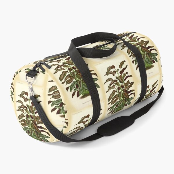 Item preview, Copy of Calathea ornata - Botanical illustration designed and sold by chimakingthings.