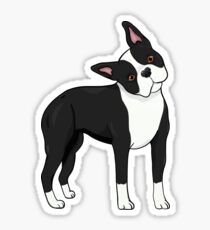 Pegatina Adorable Boston Terrier