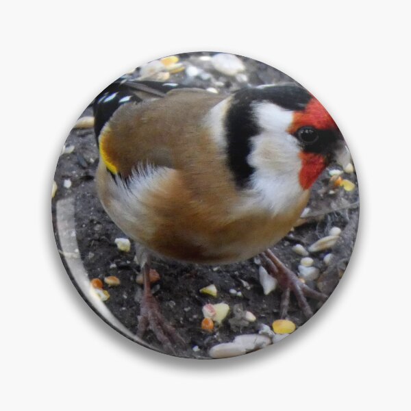 Item preview, goldfinch designed and sold by KathleenDawson.