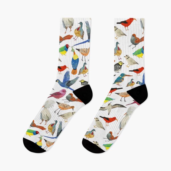 Item preview, Colorful Bird Types designed and sold by SweetPea49.