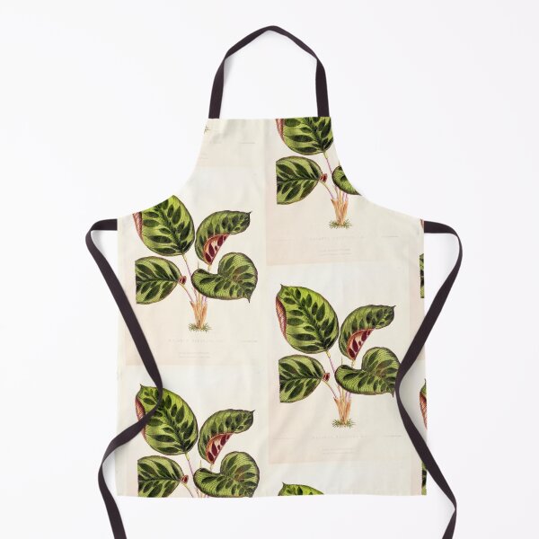 Item preview, Calathea makoyana - Botanical illustration designed and sold by chimakingthings.