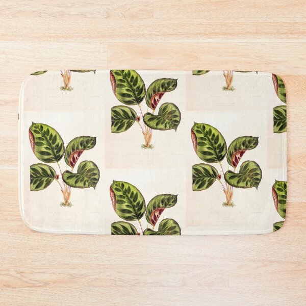 Item preview, Calathea makoyana - Botanical illustration designed and sold by chimakingthings.