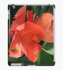 Little Hitchhiker iPad Case/Skin