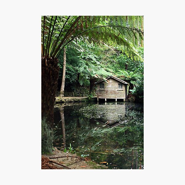 Item preview, the Shed designed and sold by WendyJC.