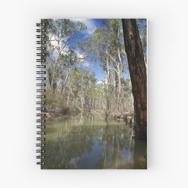 Item preview, Billabong designed and sold by Peter Edwards.