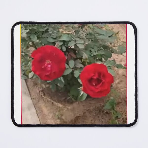 Item preview, Red Rose designed and sold by Saiamrita123.