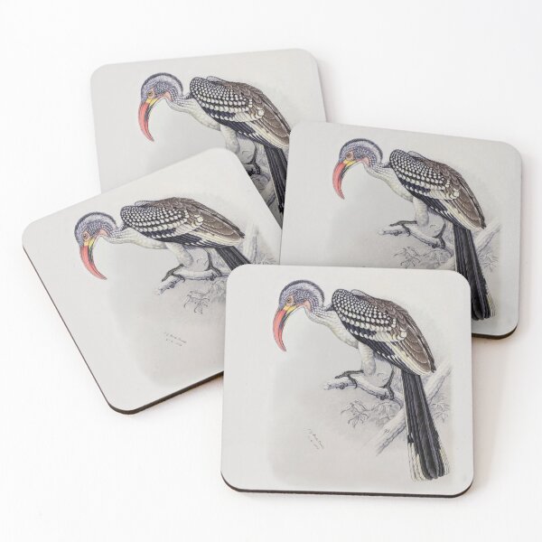 Item preview, Red-billed Hornbill (Tockus erythrorhynchus) Painting by Finch-Davis designed and sold by TheCurators.