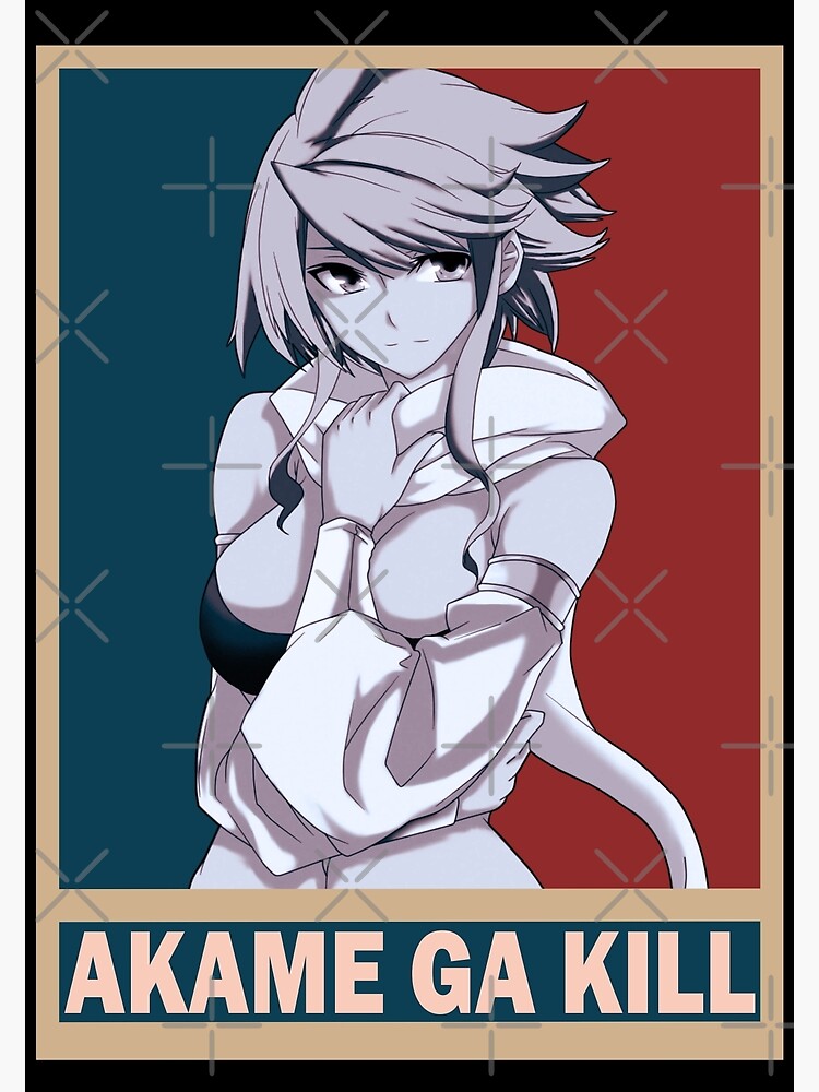 Leone Akame ga Kill Akame ga Kiru Vintage Vector Anime Design Canvas Print  for Sale by Raiden Designer Shop