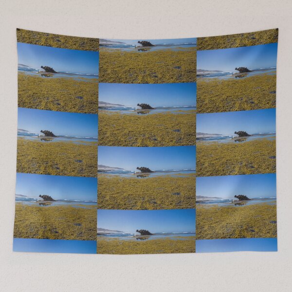 Item preview, Dragon Head Rock, Rye, Victoria, Australia designed and sold by Vicki Walsh.