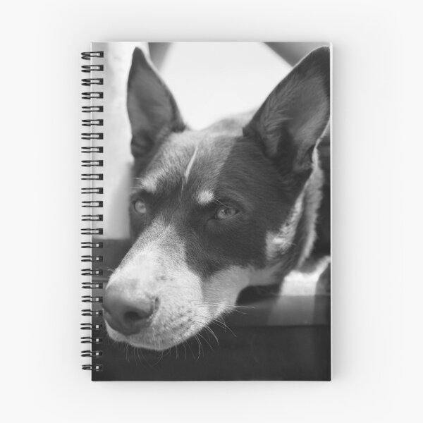 Item preview, Man's Best Friend  designed and sold by Clare Colins.