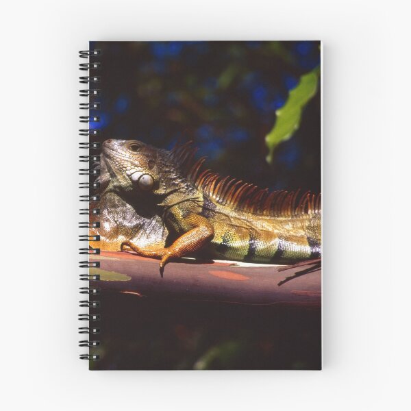 Item preview, Technicolor Iguana designed and sold by Bill Wetmore.