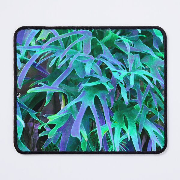 Item preview, Staghorn Fern in Cool Colors designed and sold by aloharobj.