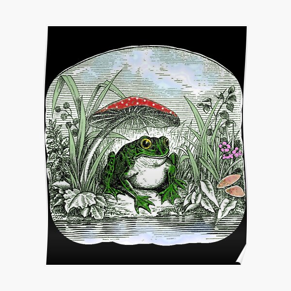 Nature Magazine Bullfrog by Mushroom Vintage Cover Posters, Wood & Metal Signs 
