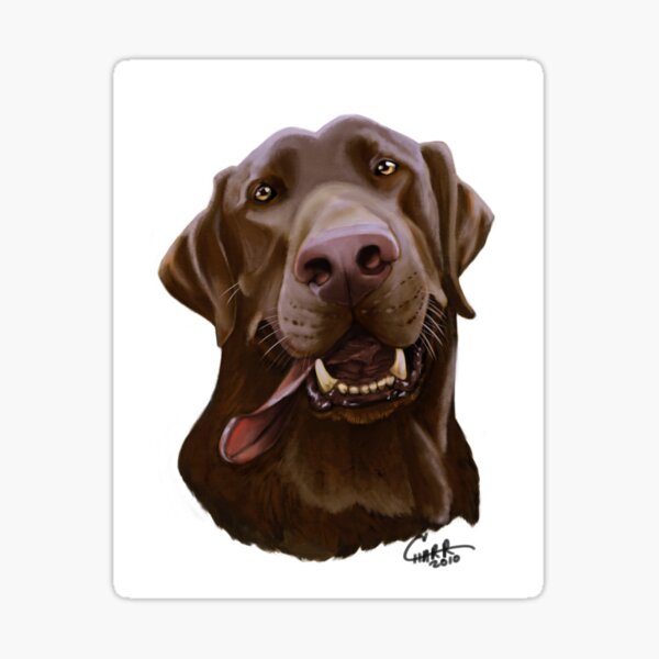 Chocolate Lab Caricature Sticker
