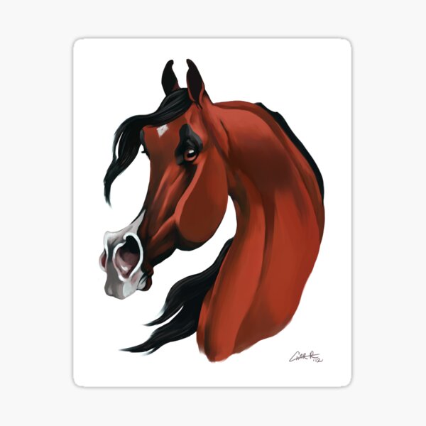 Arabian Horse Caricature Sticker