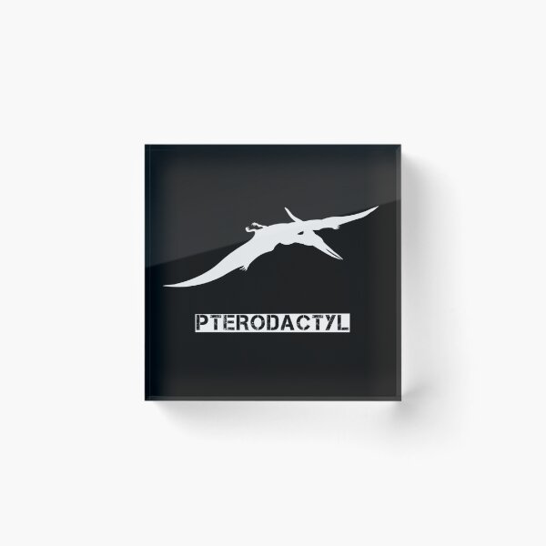 Artikelvorschau, Pterodactylus, saurier sprüche, Flugsaurier fans, Dinoliebhaber shirts entworfen und verkauft von Kirei-Lily.
