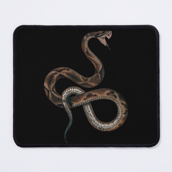 Item preview, Vintage Snake Illustrations | Pit Viper Snakes | Vintage Reptile Images | Bothrops Jararaca designed and sold by WadeLestat.