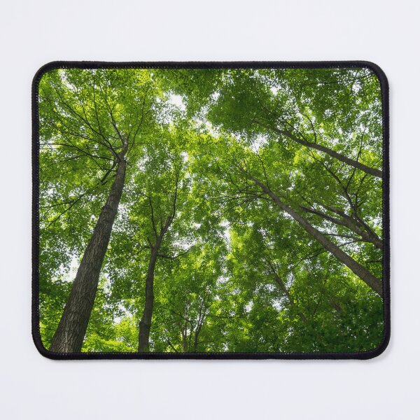 Natural Skylights - Biophilic Ceiling in the Forest Mouse Pad