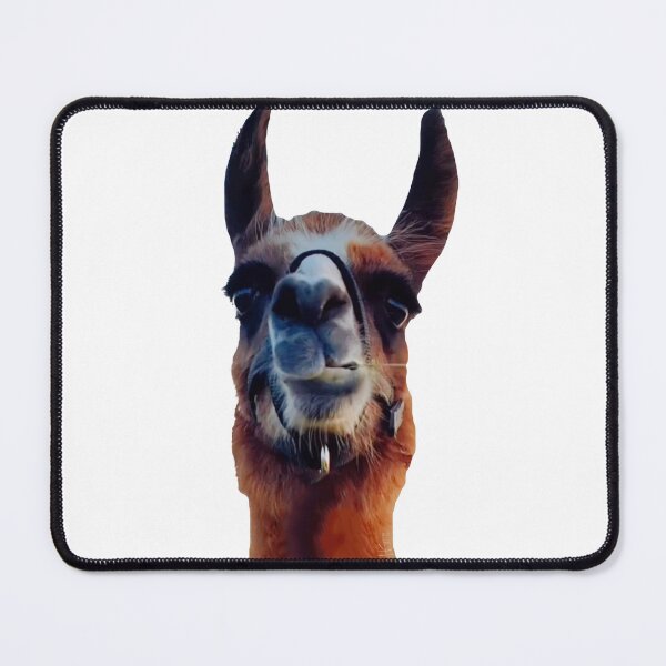 Item preview, Llama Louie designed and sold by hannaHKyong.