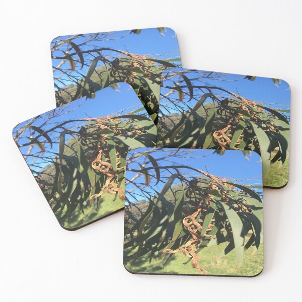 Item preview, Leaves and seed pods designed and sold by Jenie Yolland.