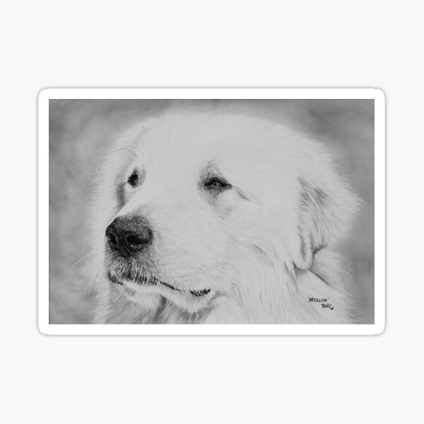 Item preview, "Apollon" - Pyrenean Mountain Dog (Great Pyrenees) designed and sold by RmvPortraitsArt.