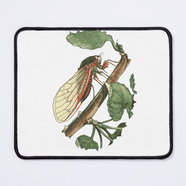 Item preview, Cicada Illustration designed and sold by taiche.