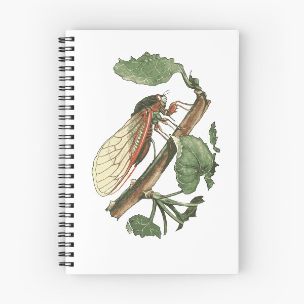 Item preview, Cicada Illustration designed and sold by taiche.