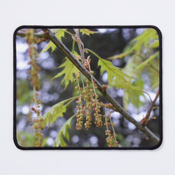 Item preview, Spring Time designed and sold by Anastasia Kaneva.